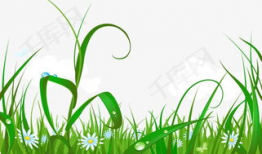 草草视频免费观看,草草视频免费观影之旅